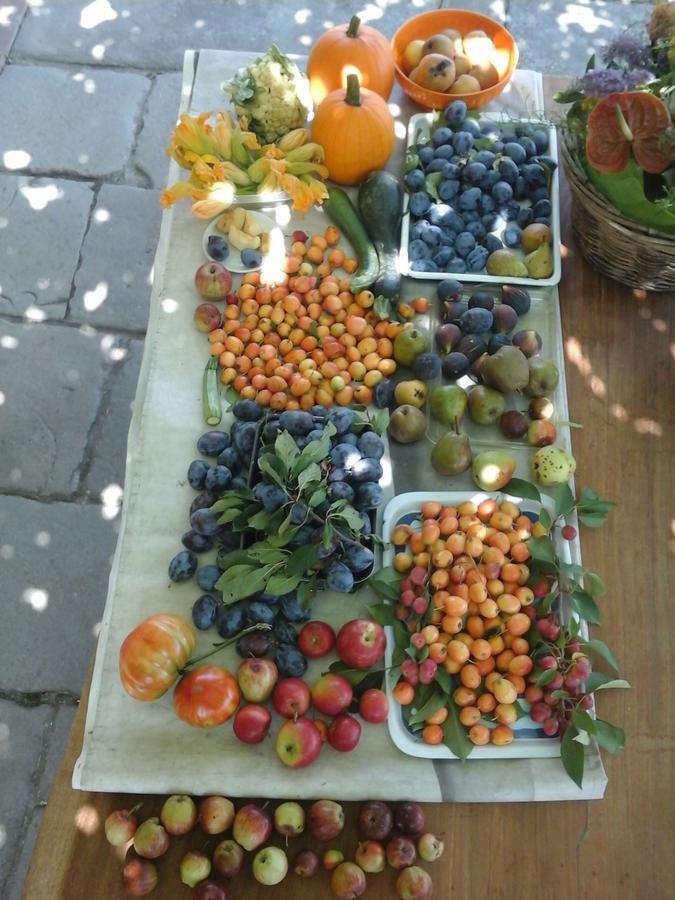 Bio&B Cascina Montebello Palazzago Bagian luar foto